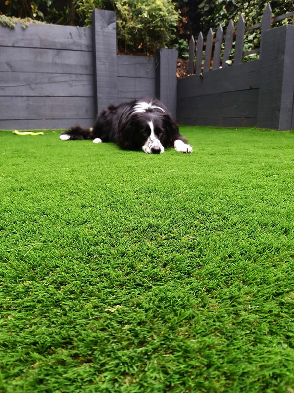 Artificial Grass - 30mm